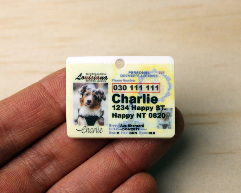 drivers license victoria australia drivers license victoria australia