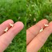 Dainty dinosaur stud earrings in gold and silver, tiny T-Rex Brontosaurus dinosaur studs, animal earrings studs set, dinosaur earrings
