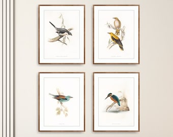 Vintage Birds Print Wall Art, Gallery Wall Set, French Posters Chinoiserie