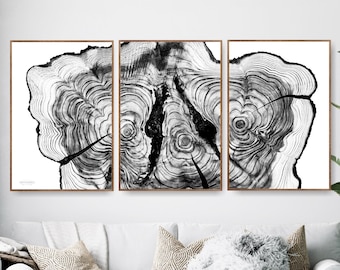 Boom Ring Woodblock Houtsnede Print Slice Stump Art, Cryptomeria
