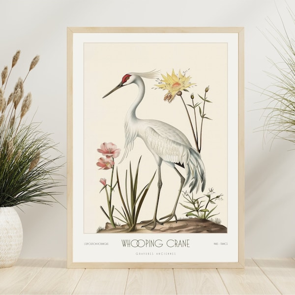 Grue, affiche William Morris, impression William Morris, art mural tendance, art mural floral, affiche botanique esthétique