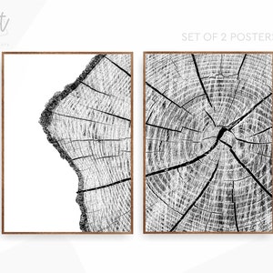 Tree Ring Black and White Print Set Lake House Wall Art