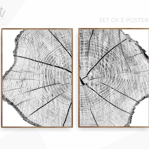 Tree Ring Print Set Black and White Lake House Wall Art