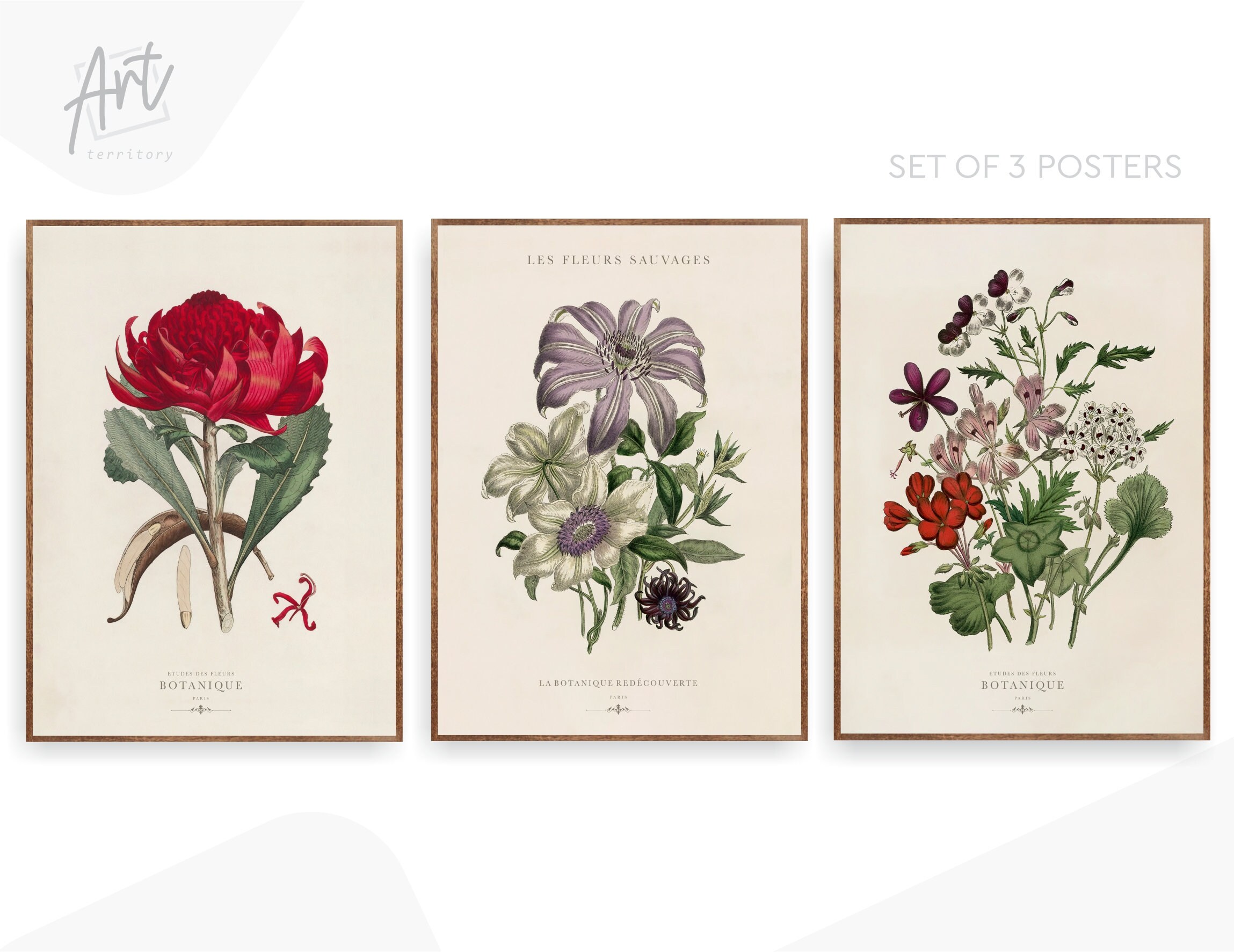 Vintage Botanical Prints Set of 3 Large French Poster Wall Art - Etsy