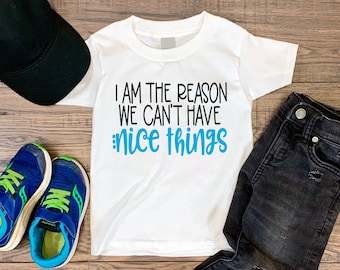 I am the Reason We Can&#39;t Have Nice Things Kids t shirt - Funny tshirt - Kid in Trouble - Boys Tee - Girls Shirt - multi item order discounts