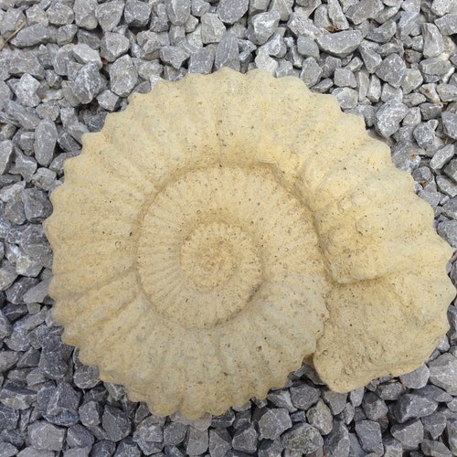 Fossil ammonite garden sculpture handmade by me in Oxfordshire