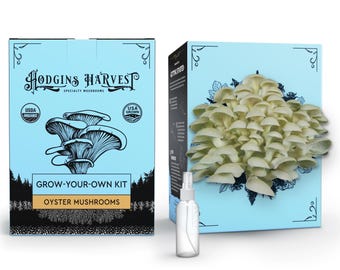 May include: A light blue box with the text "Hodgins Harvest" and "Grow-Your-Own Kit Oyster Mushrooms". The box features a graphic of oyster mushrooms and a "USDA Organic" seal. A spray bottle is in front of the box.