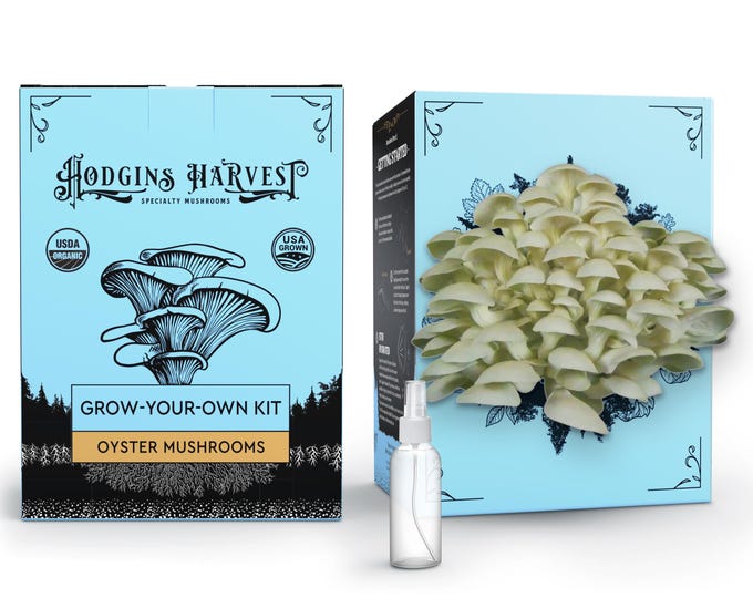 Organic Oyster Mushroom Grow-Your-Own Kit