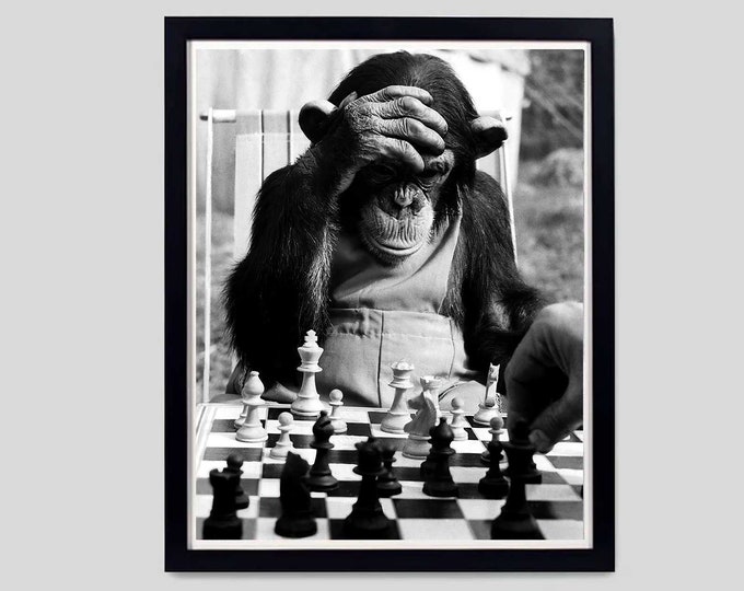 Monkey Chess Set This item is unavailable - Etsy