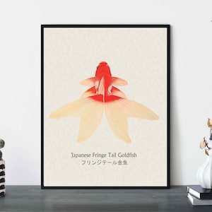 Może przedstawiać: Druk przedstawiający japońskiego złotego rybki z frędzlami na ogonie, znanego również jako "Frin-ge-te-ru Kin-gyo", z czerwonym ciałem i długimi, falującymi białymi płetwami. Rybka jest przedstawiona na kremowym tle.