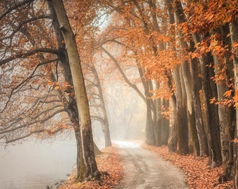 Rahmen TV Kunst Herbst Boho Herbst Kunstwerk | Digital Art für Samsung Rahmen