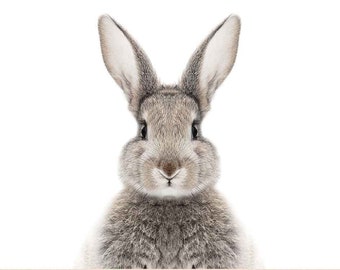 Samsung Frame TV Easter Art | Frame TV Bunny Ears Art | Frame Tv Easter Artwork | Frame Tv Spring | Frame TV Adorable | Frame Tv Cute
