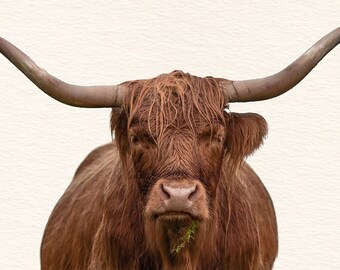 TV Art for Samsung Frame TV Highland Cow Art | Animal Wall Art | Farmhouse Wall Decor | Shaggy Cow Art | Digital Art for Tv