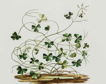 Samsung Frame St Patrick's Day TV Art / Frame TV Shamrock Clover
