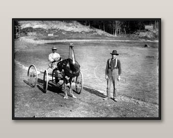 Funny Ostrich Race Print, Vintage Black and White Photography, Quirky Animal Wall Art, Eclectic Conversation Piece Decor