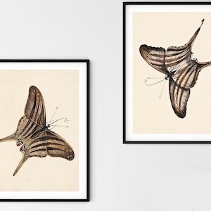 Butterfly Print Set of 2 Minimal Wall Art, Boho Prints Set, Wall Art Boho Art Decor, Boho Art Set of 2, Instant Download