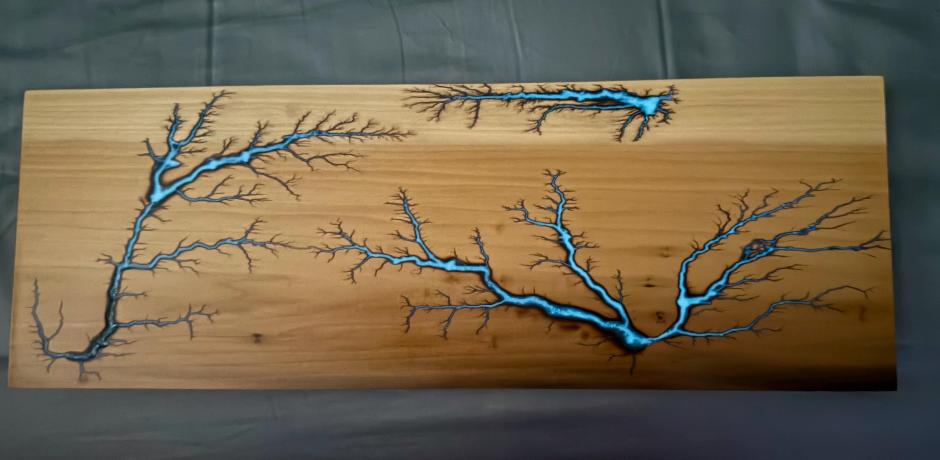 Fractal Burn/lichtenberg Artwork - Etsy