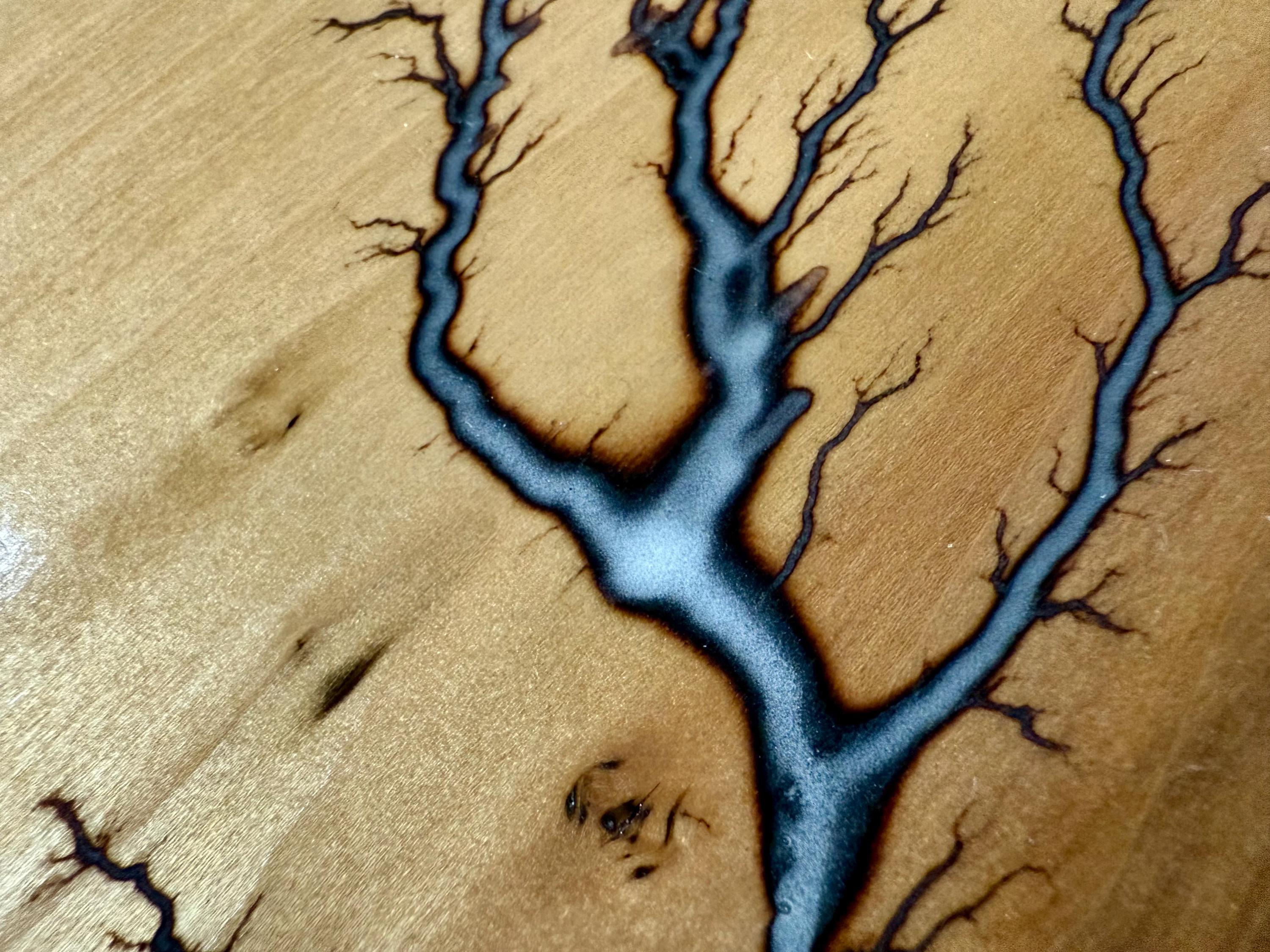 Fractal Burn/lichtenberg Artwork - Etsy