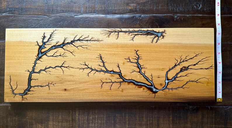 Fractal Burn/lichtenberg Artwork - Etsy