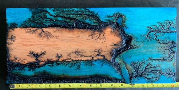 Fractal Burn Lichtenberg Artwork Etsy