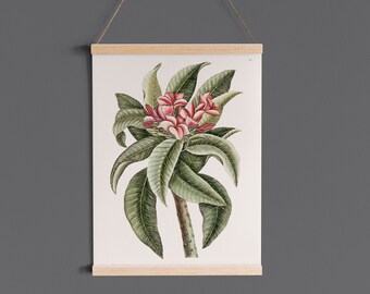 Floral botanical print, Vintage botanical print, Floral wall art, Botanical poster, Botanical print vintage, INSTANT DOWNLOAD