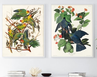 Art print set of 2 | PRINTABLE WALL ART, Pigeon art, Bird lover gift, Parrot painting, Tropical print, Birds of paradise, Tropical wall art