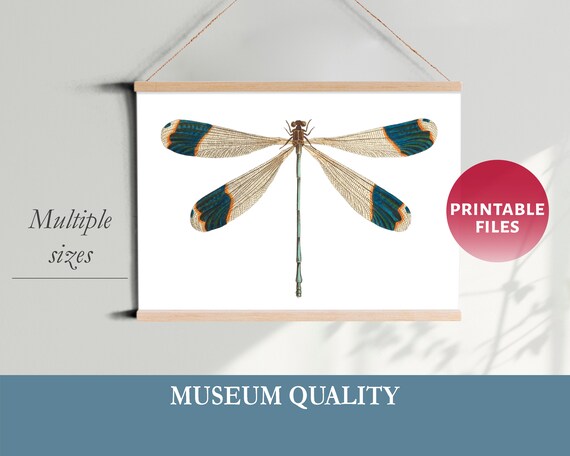Transfers shower gift,Gift Tags download printable art image Nursery Quote art Vintage Dragonfly Wall Art