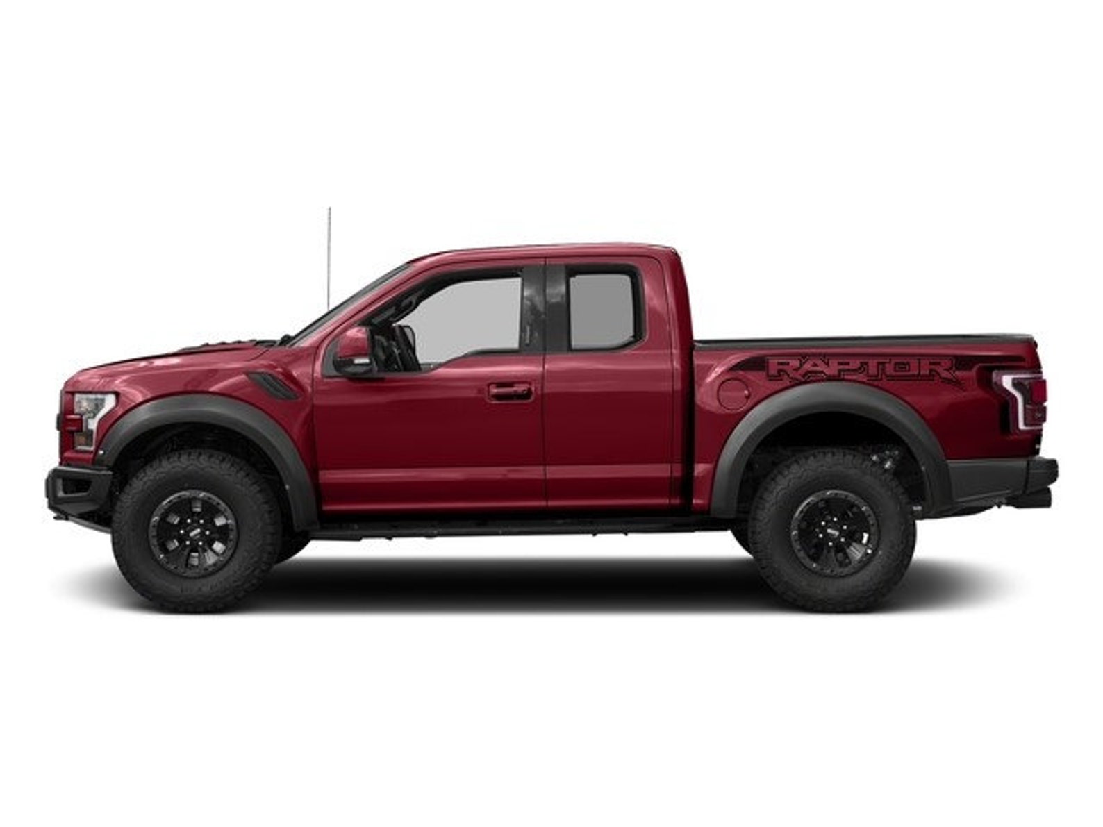 RAPTOR Svt 2017 2018 2019 Fender Bed Side Logo Graphics F150 F-150 ...