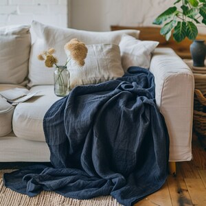 Pu&ograve; includere: Una coperta blu scuro drappeggiata su un divano beige chiaro con un vaso di fiori secchi sul divano.