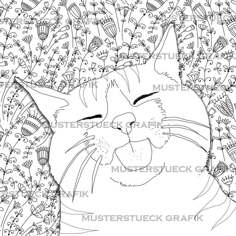 Crazy Cats Coloring Book for Adults Funny Confused Freaky Cats Coloring  Book Pages Cats Cat Coloring Book to Print 
