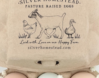 May include: A cardboard egg carton with six brown and blue eggs inside. The carton has a label that reads "SILVER HOMESTEAD. PASTURE RAISED EGGS. Laid with Love on our Happy Farm silverhomestead.com". The label also features a drawing of a goat, a chicken, and two ducks.