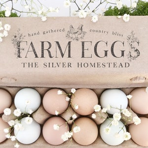 Egg Carton Rubber Stamp 6x2 | Farm Eggs Nesting Hen Custom | Hand Drawn Farmhouse Design | Label Farmer’s Market Product Packaging | E03