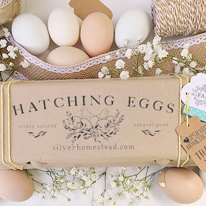 Egg Carton Rubber Stamp | Hatching Egg Branding Chicks in Nest | Hand Drawn Farmhouse Design | Label Farmer’s Market Product Packaging | H01