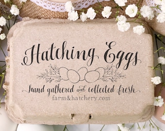 Op de afbeelding: Een bruine kartonnen eierdoos met de tekst "Hatching Eggs" en "Hand gathered and collected fresh farm&hatchery.com" erop gedrukt. De doos is omringd door witte baby's breath bloemen en witte en bruine eieren.