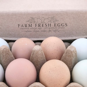 May include: A cardboard egg carton with a brown lid that says 