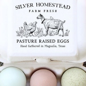 Egg Carton Rubber Stamp 2.5x3 inch | Pasture Raised Hen Chicks & Goat | Fits iMagic Half Dozen Size | Farmers Market Packaging | I07