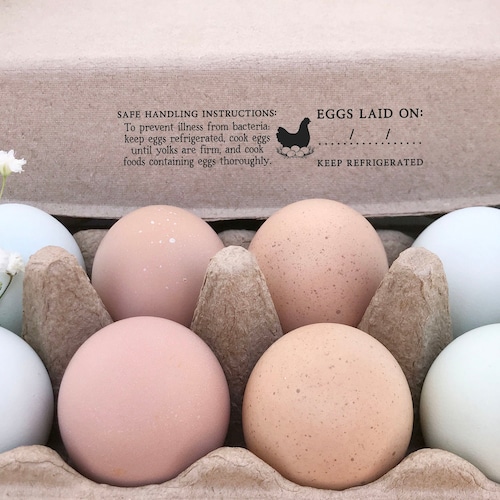 FDA Safe Handling Instructions Rubber Stamp Egg Safe Etsy