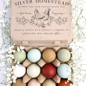 Vintage Square Custom Egg Carton Stamp | 4x6 inch Floral Nesting Hen | Hand Drawn Farmhouse Design | Jumbo Henlay One Dozen Cartons | J02 画像 3
