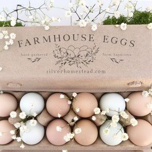 May include: A cardboard egg carton with a brown paper lid. The lid has the text 