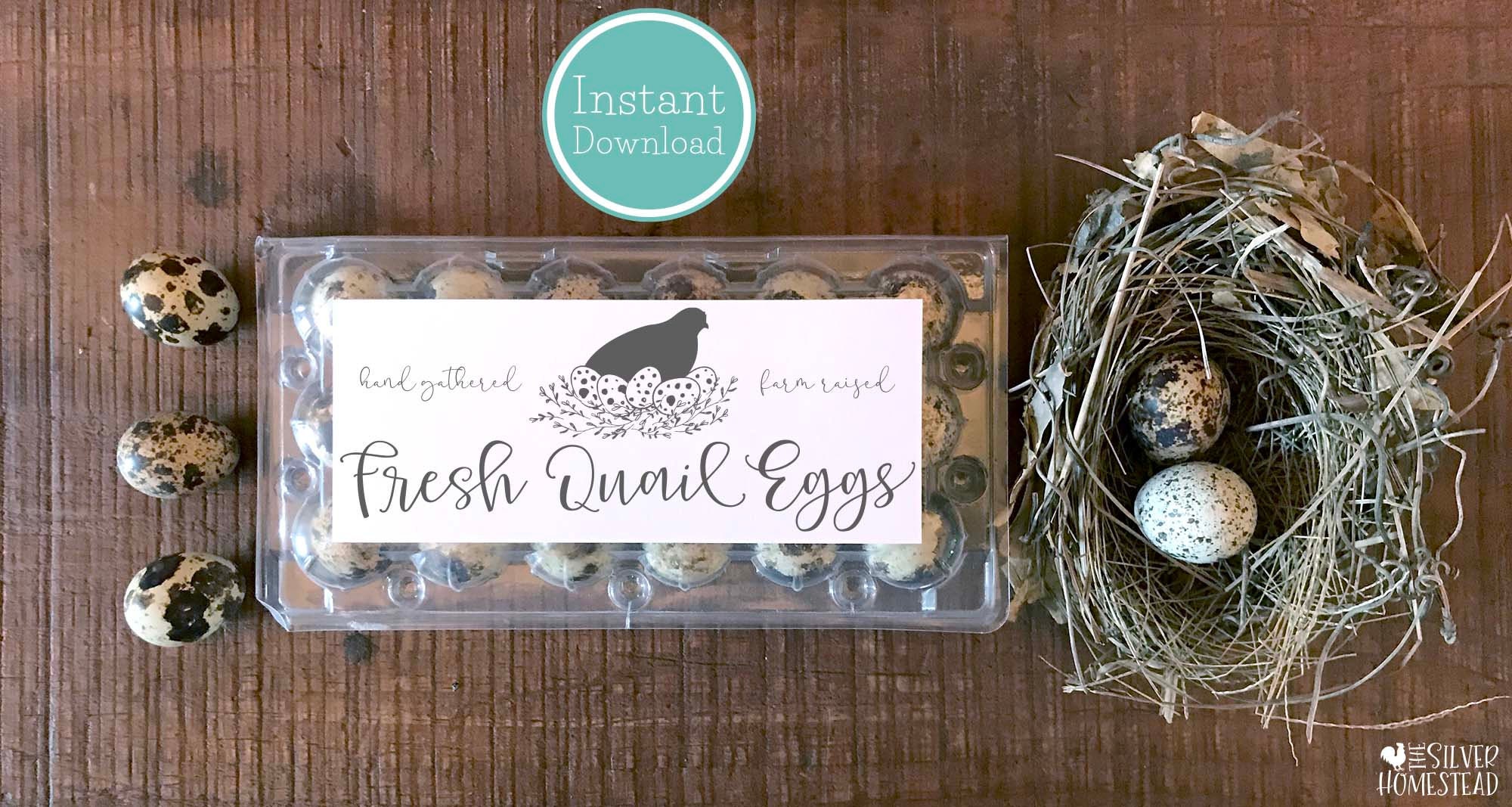 Quail Egg Carton Label in 5 Sizes CUSTOM Topper for Etsy Ireland