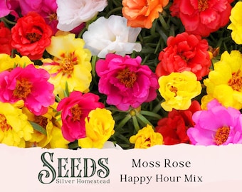 30+ Moss Rose Happy Hour Mix Seeds | Pretty Pink & Yellow Blend | Non-GMO Heirloom Flower Seed for Planting | Free Seed Packet