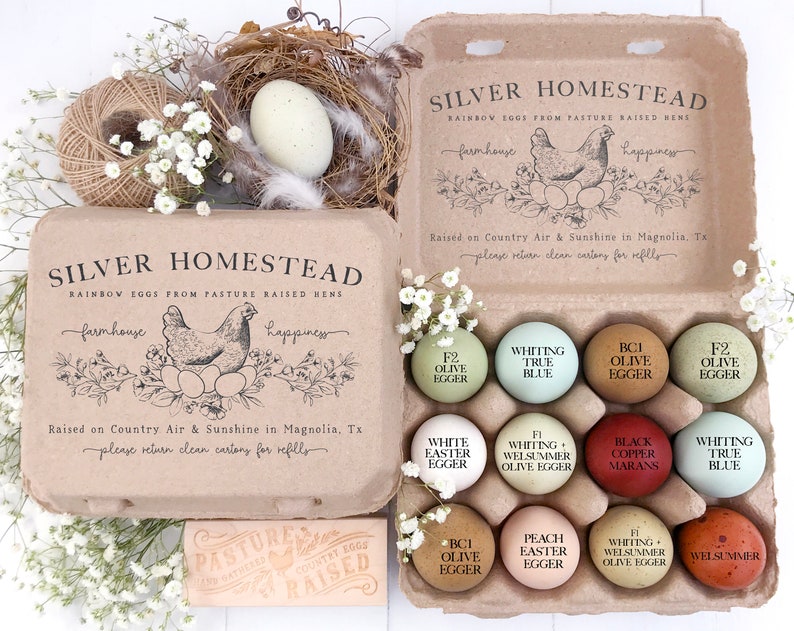 以下が含まれることがあります： 「Silver Homestead」と「Rainbow Eggs From Pasture Raised Hens」の文字が入った段ボール製の卵パック。パックには、それぞれに名前が付けられた、色とりどりの卵が1ダース入っています。卵と花が入った巣も写っています。