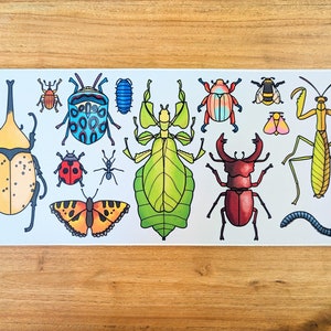 Pode incluir: Um fundo branco com uma variedade de insetos coloridos, incluindo um besouro amarelo, uma joaninha vermelha, um besouro azul e verde, uma mantis religiosa verde, um besouro-veado marrom, um inseto-pau verde e amarelo, uma borboleta marrom e laranja e um verme marrom e laranja.