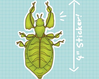 Leaf Insect Sticker OR Magnet | Die Cut | Waterproof Vinyl