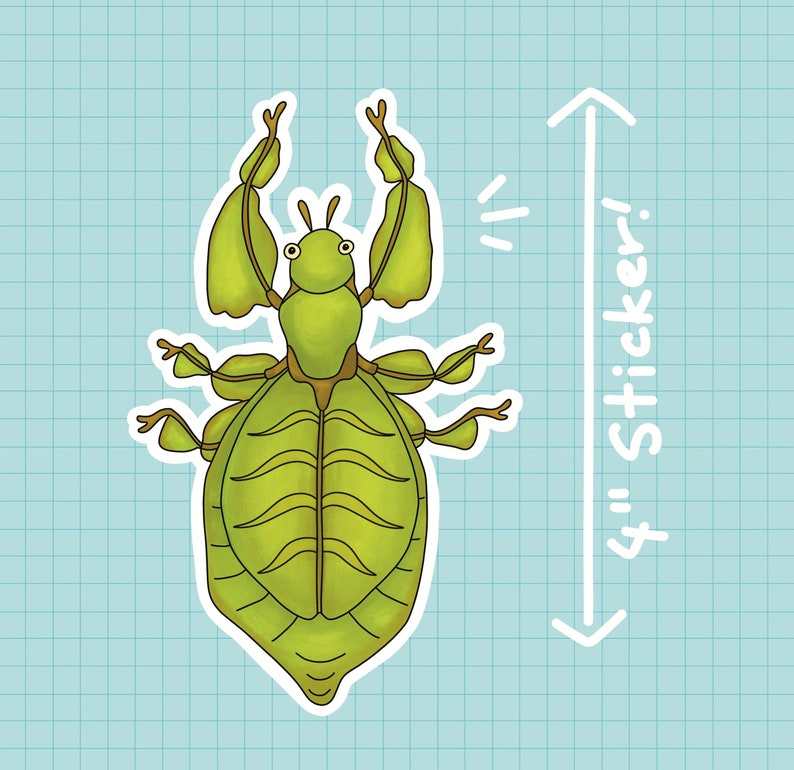May include: A green insect sticker with a segmented body and long, thin legs. The sticker is on a blue and white grid background with the text "4"" Sticker!" written vertically on the right side of the image.