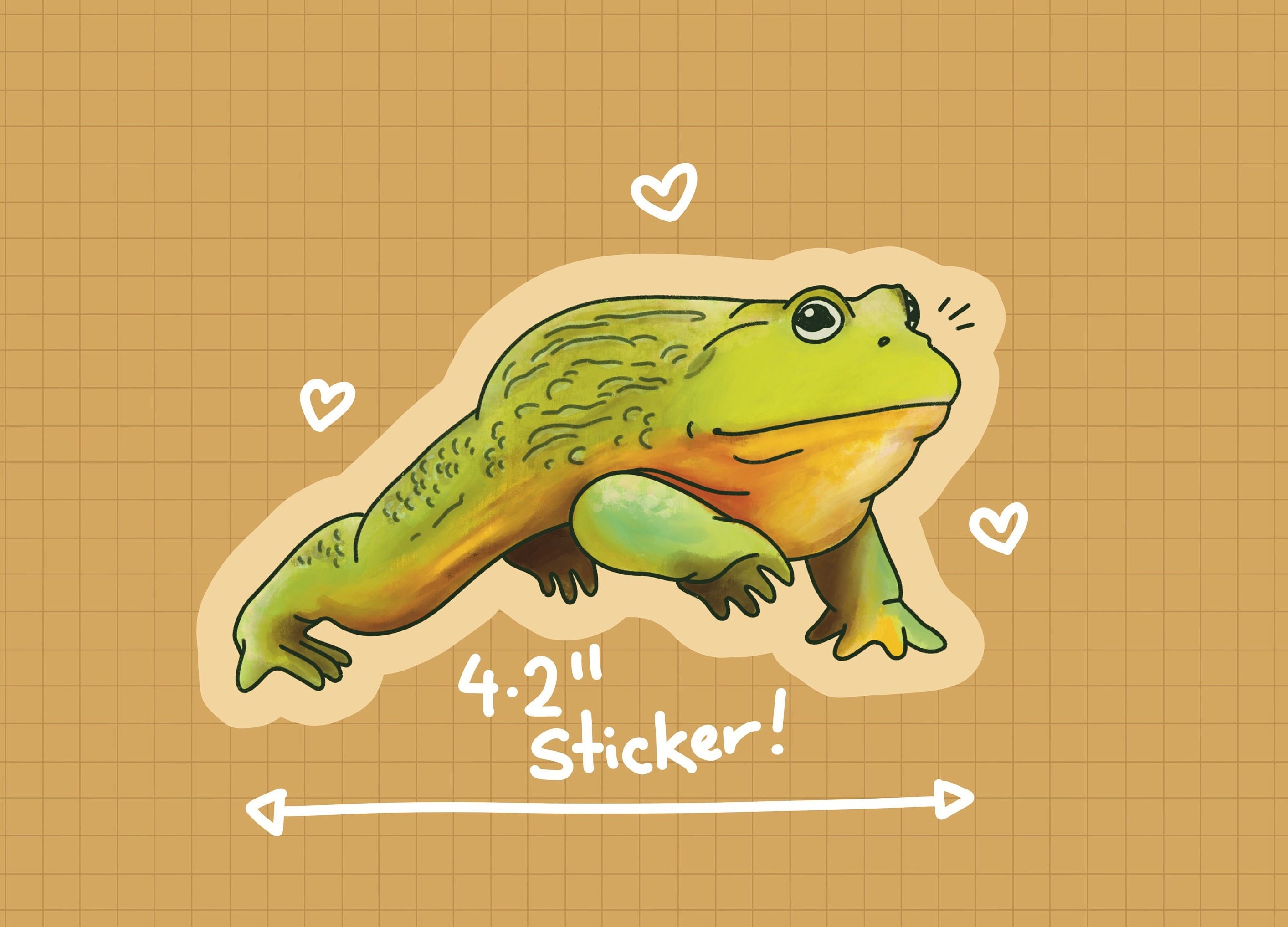 African bullfrog - Etsy 日本 African bullfrog - Etsy 日本
