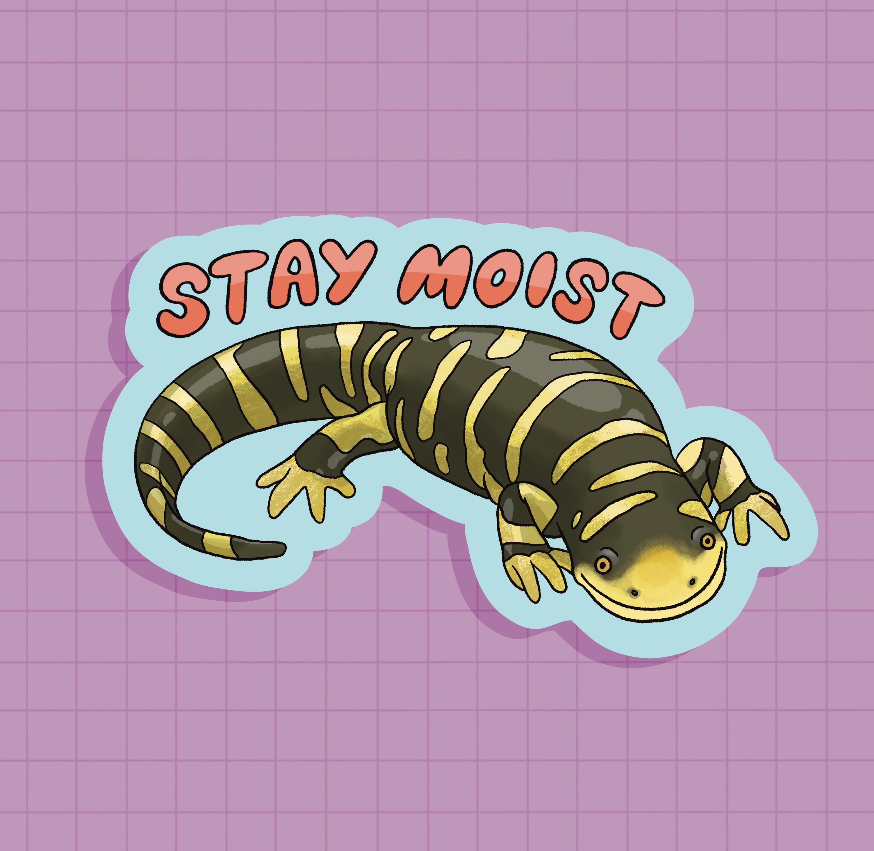 Stay Moist Salamander Sticker OR Magnet | Die Cut | Waterproof Vinyl - Etsy
