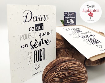 Carte graines à planter / Carte double / Carte à semer / Papier ensemencé / Annonce bébé / Annonce grossesse