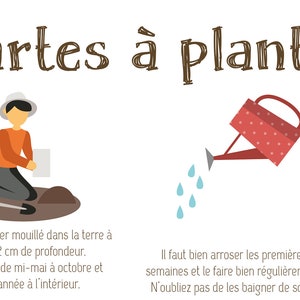 Carte graines à planter / Carte Double / Carte à semer / Papier ensemencé / Graines de fleurs / Cadeau mariage / Vive les mariés image 4