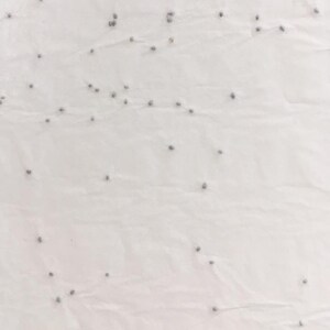 Carte graines à planter / Carte Double / Carte à semer / Papier ensemencé / Graines de fleurs / Cadeau mariage / Vive les mariés image 3